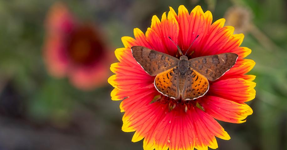 0823_Nature.jpg?h=18f453e1&