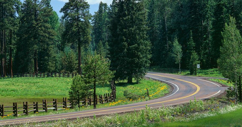The Ultimate Arizona Road Trip
