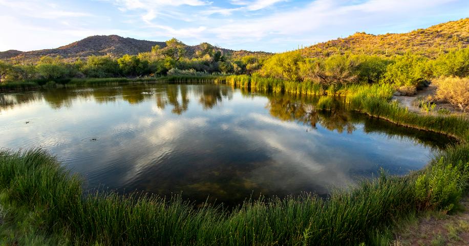 It's Not A Mirage | Arizona Highways - Vimarsana News