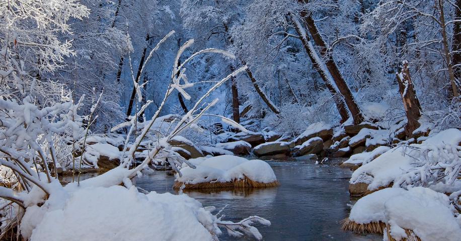 The Most Wonderful Time of the Year | Arizona Highways - Vimarsana News