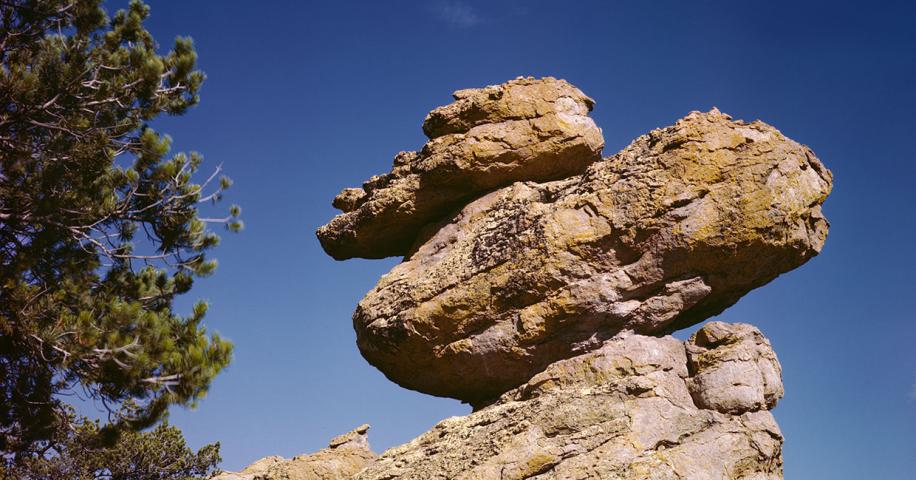 Land Of The Stone Comics | Arizona Highways