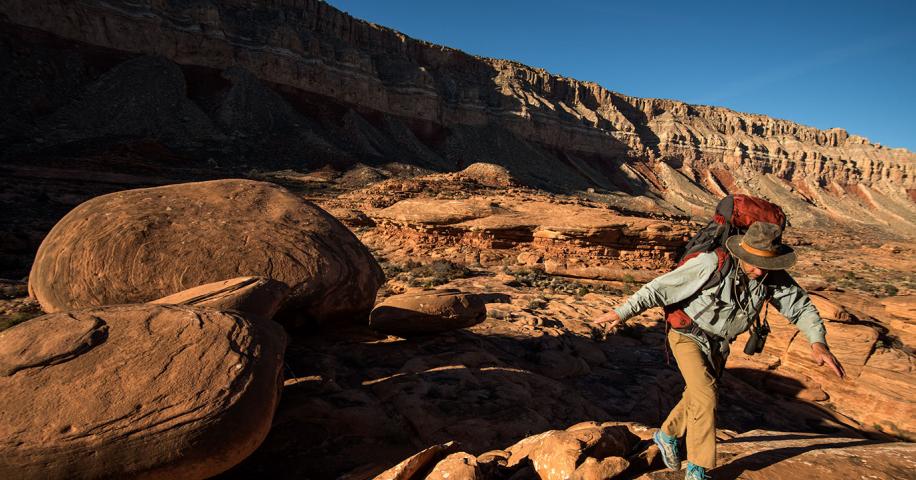 A Walk In The Park | Arizona Highways