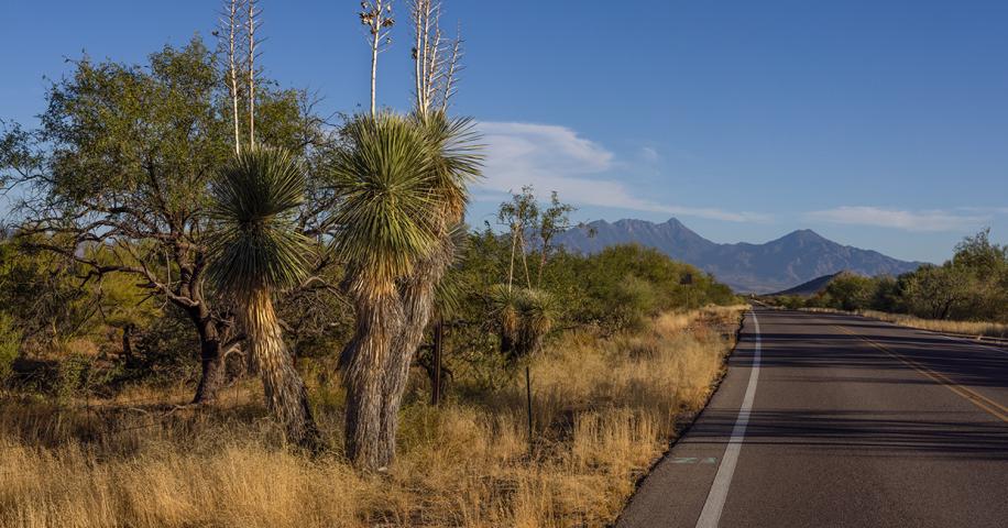 Mission Road | Arizona Highways