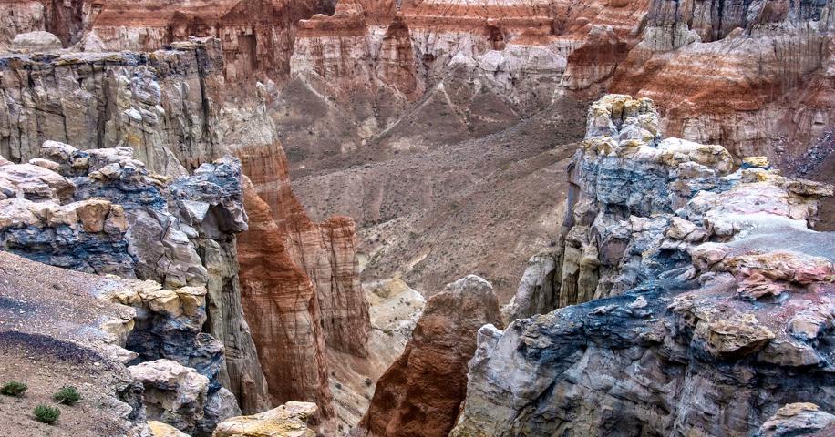 March 6, 2025 | Arizona Highways