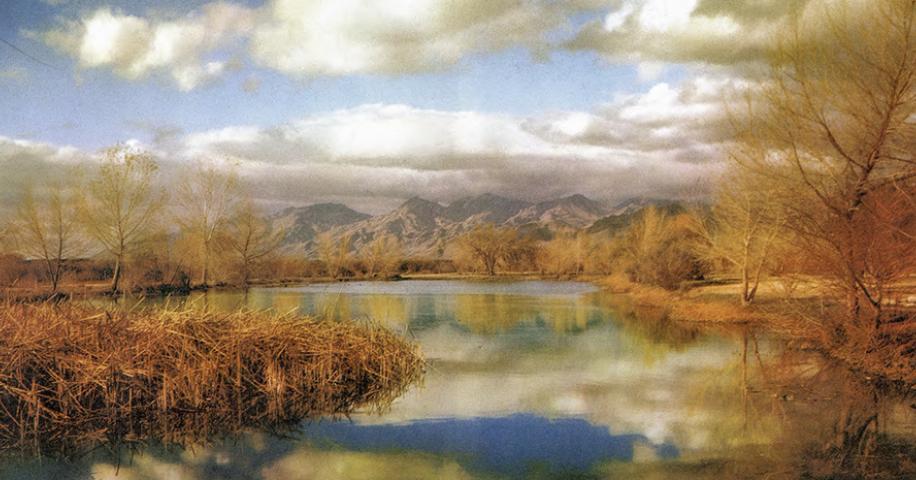 0425_Photography.jpg?h=