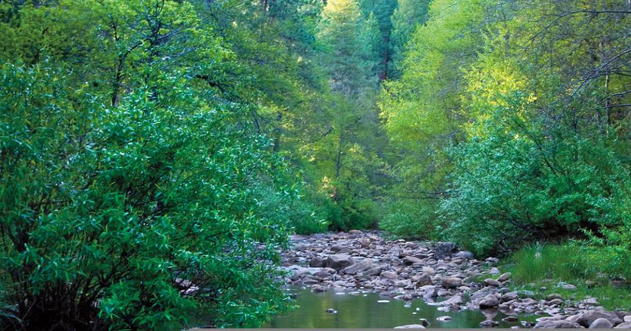 Christopher Creek