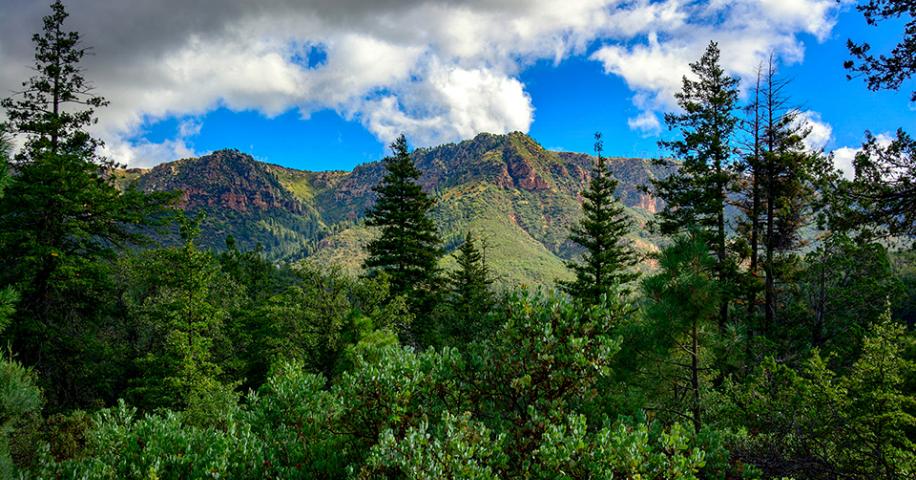 Escape To Arizona’s Haigler Canyon: A Hidden Gem For Nature Lovers