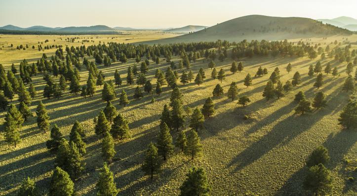 Drone lanscape photo
