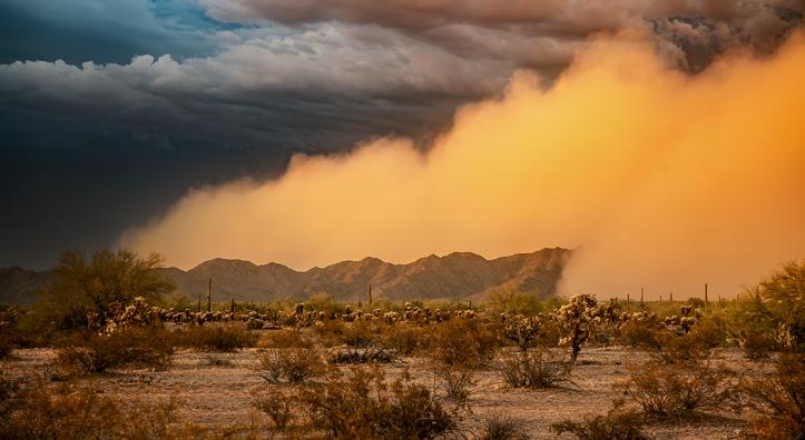 Photo by Sean Parker