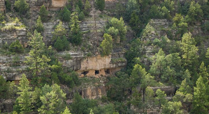 What remains of a Sinaguan cliff dwelling clings to the canyon wall at Walnut Canyon National Monument. This view is from the Island Trail, which traverses another set of ruins. | Tom Bean