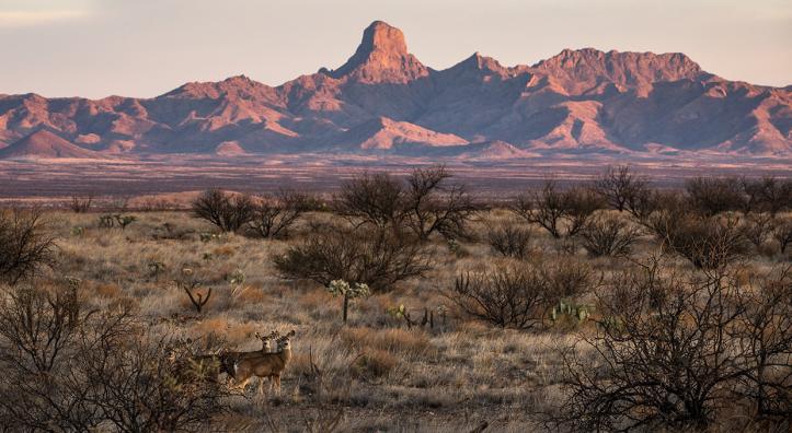Photograph by Elisabeth Brentano