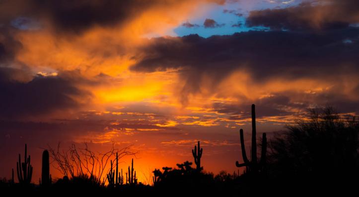 A desert sunset