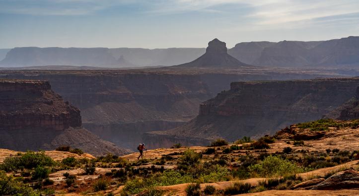 A hiker traverses a section of the Tuckup Trail.