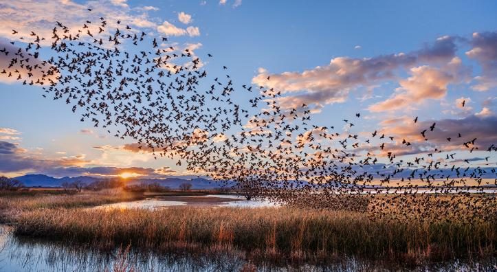 Photograph by Jack Dykinga