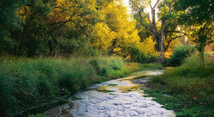 Photograph by Randy Prentice