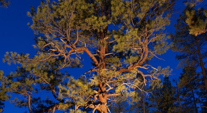Photograph by John Burcham