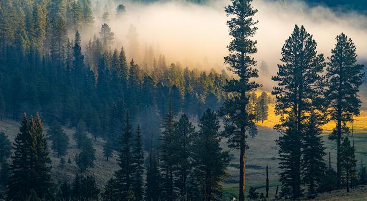 Photograph by Joel Hazelton
