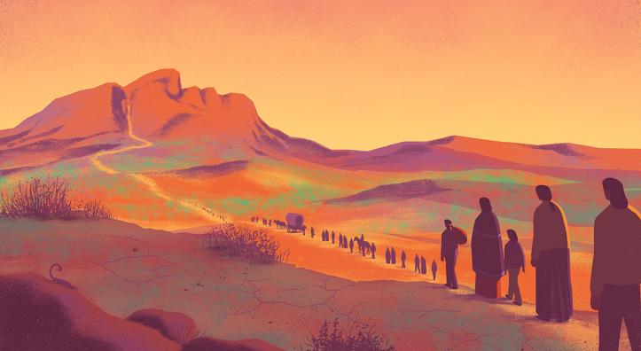Illustrations by Davide Bonazzi