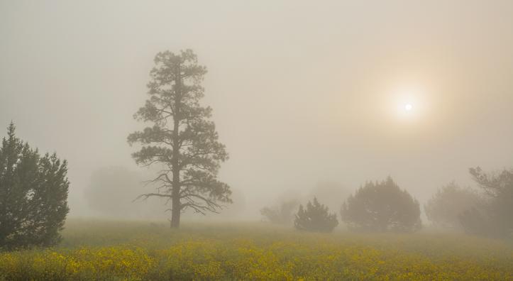Photograph by Tom Bean