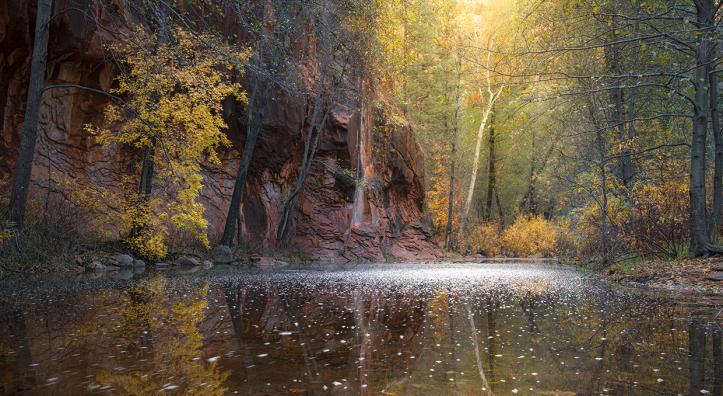 Photograph by Michael Wilson