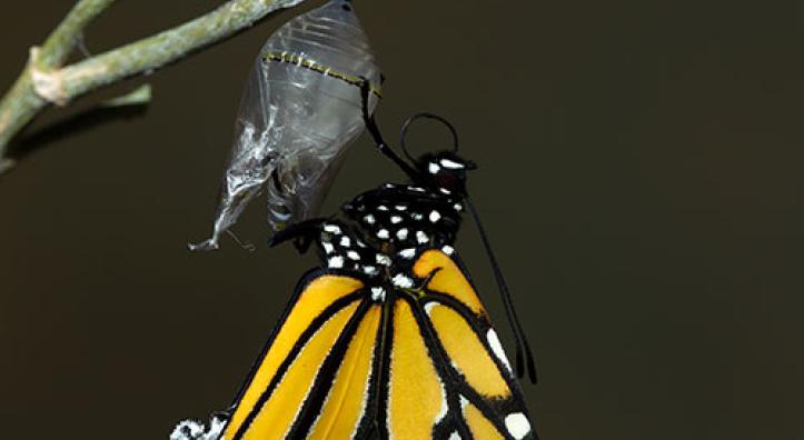 Photograph by Bruce D. Taubert