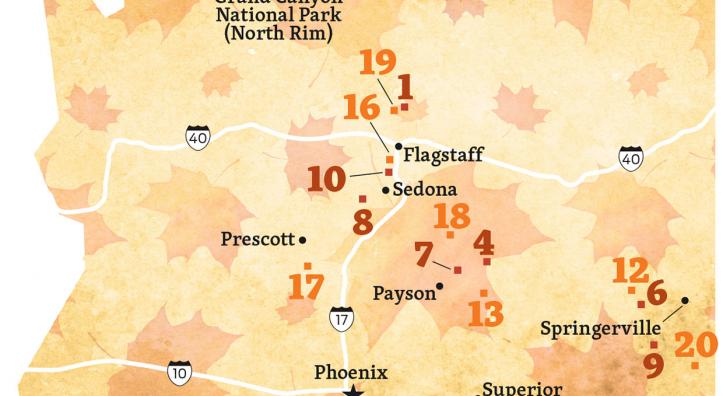 Fall Color Guide Map