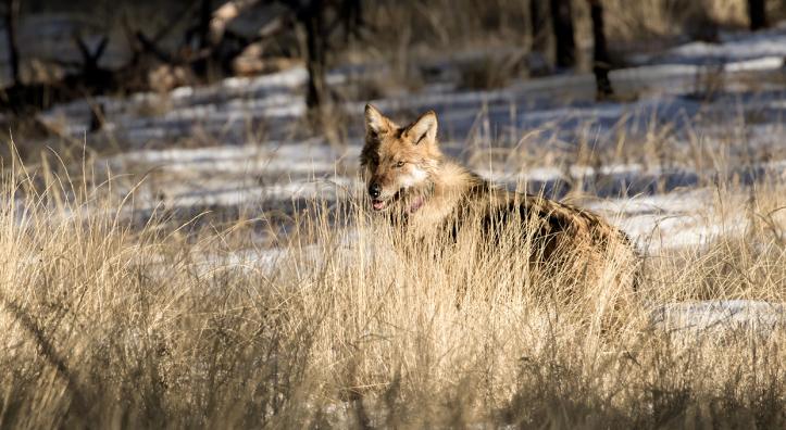 Photograph by Bruce D. Taubert