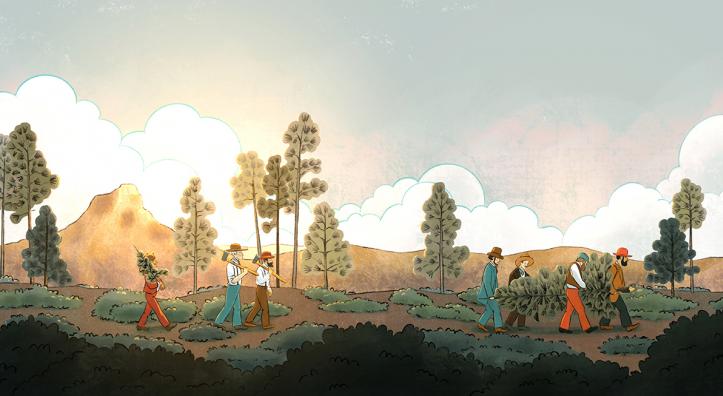 Illustration by Jennifer M. Potter