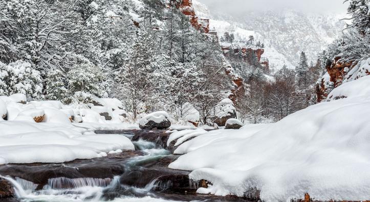 Photograph by Guy Schmickle