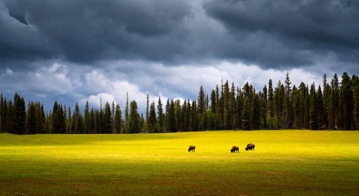 Photograph by Adam Schallau
