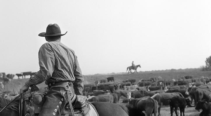 A black and white photograph of cowboys in Arizona