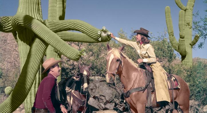 Photograph: Flying V Ranch