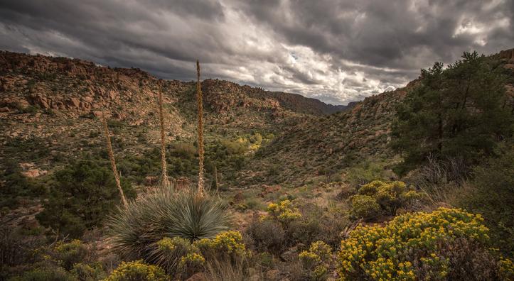 Photograph by Bill Hatcher