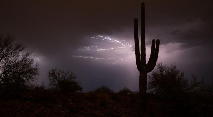 Photograph by Michael Jennings