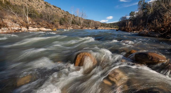 Photograph by Bill Hatcher