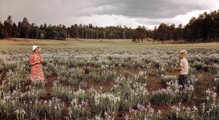 Photograph by Josef Muench