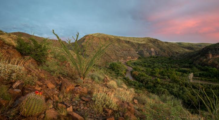 Photograph by Bill Hatcher