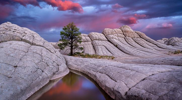 Photograph by Jessica Fridrich