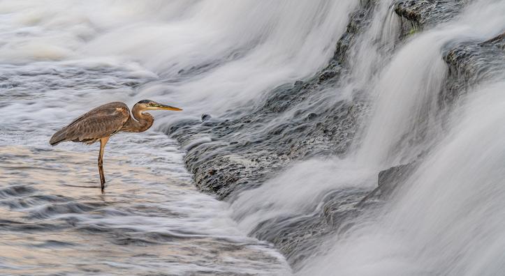 Photograph by Jack Dykinga