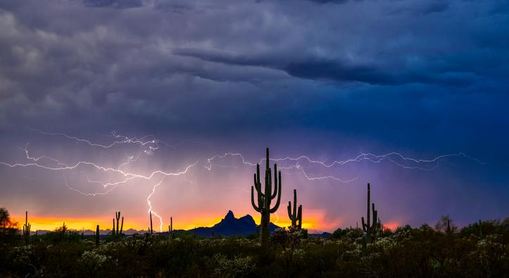 Photograph by Jack Dykinga