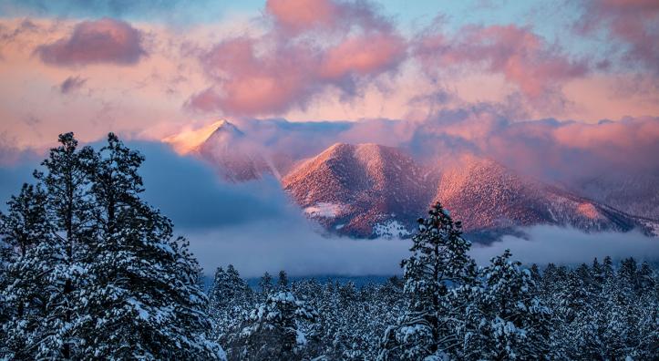 Photograph by Tom Bean