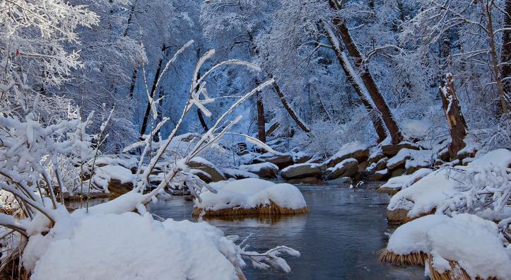 Photograph by Derek von Briesen