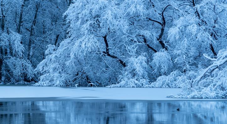 Photograph by Michael Wilson