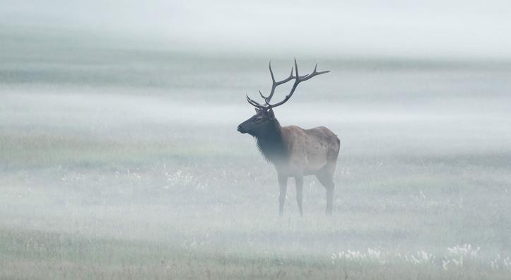 Photograph by Bill Ferris