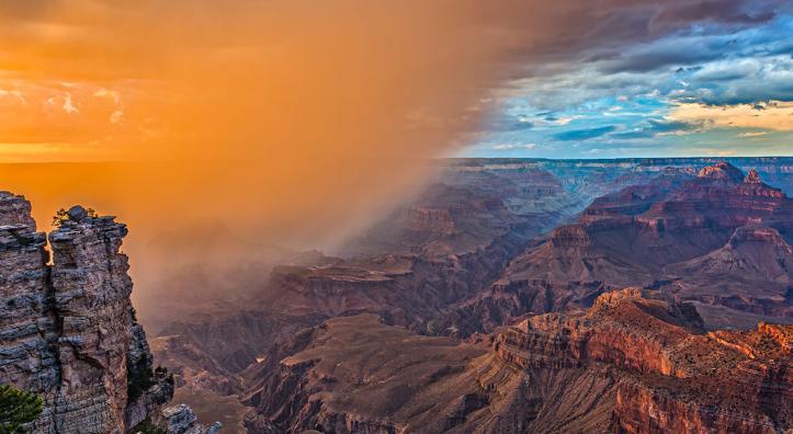 Photograph by Guy Schmickle
