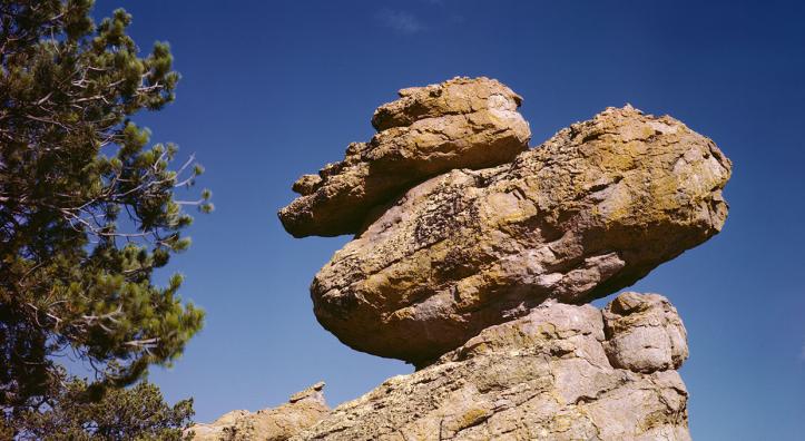 Photograph by Josef Muench (NAU Cline Library)