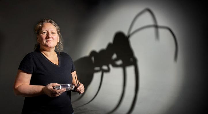 Giant ant shadow behind woman with petrie dish and forceps by Steven Meckler