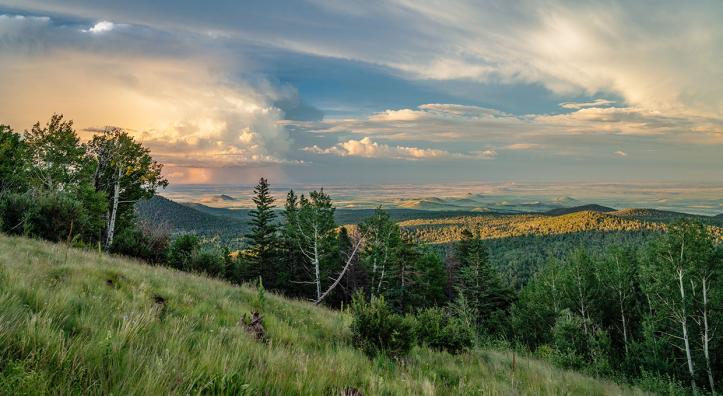 The White Mountains of Eastern Arizona by Laurence Parent