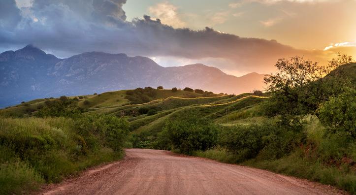 Evening light illuminates the rolling foothills of the Santa Rita Mountains along Gardner Canyon Road, an ideal route for exploring the range.  Photograph by Norma Jean Gargasz.