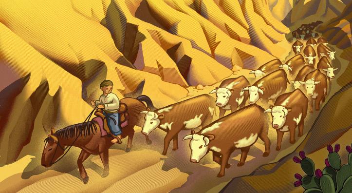 Illustration of young barfeooted boy on horse guiding cattle through a wash. By Chris Gall